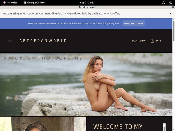 Artofdanworld Discount Memberships