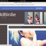 BaddBirdie Best