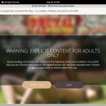 Brutalcatfight Porn Hub