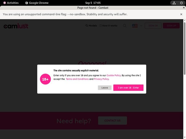 Camlust.com Form