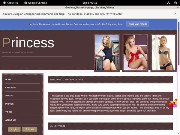 Cardboard.modelcentro.com Logins For Free