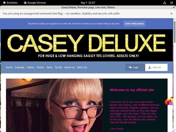 Casey Deluxe Premium Logins