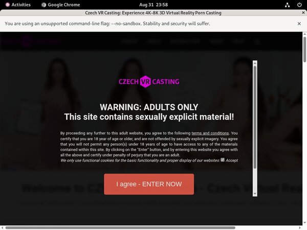 Coupon Czech VR Casting