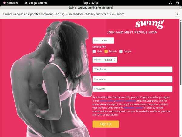 Discount For Swing.net
