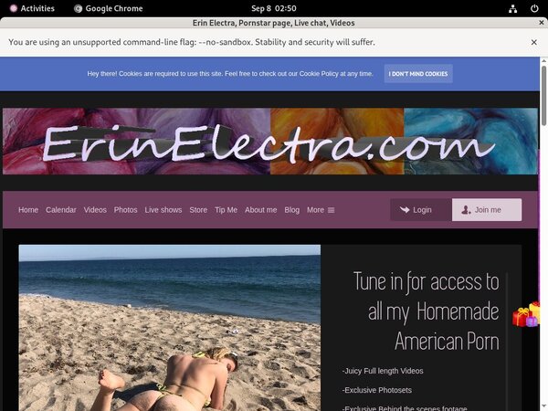 Erin Electra .com