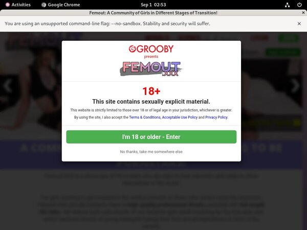 Femout Member Login