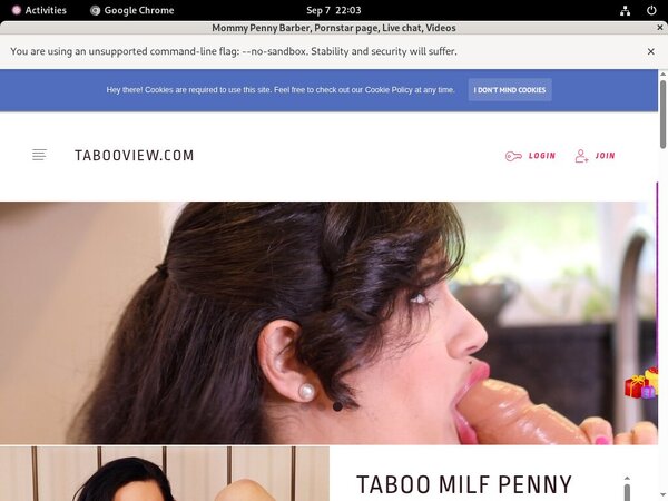 Free Premium Mommy Penny Barber