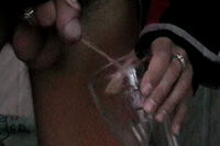 Free Trial Boyspissing Membership s1