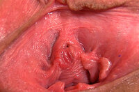 Gape My Pussy Cheap Deal s1