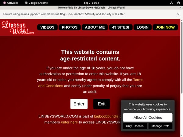 Get Linseys World Free Login