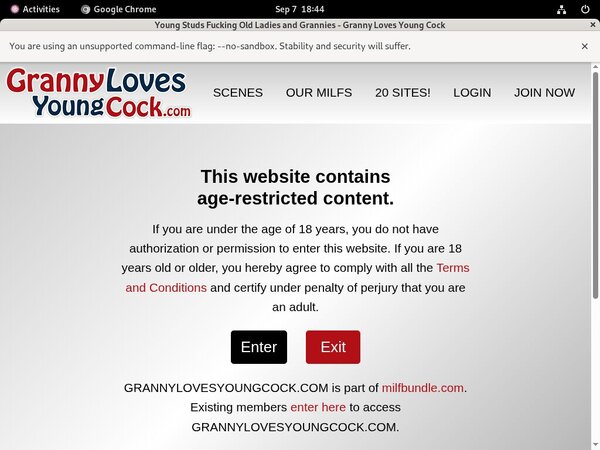 Granny Loves Young Cock Live Cams