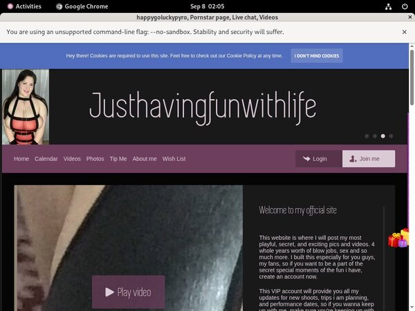 Happygoluckypyro Official Site