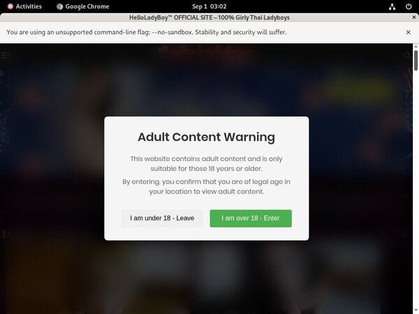 Hello Ladyboy With Paysafecard