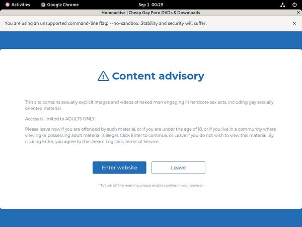 Homoactive.com Cams