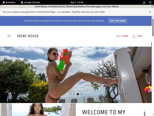 Irenerouse.com Checkout