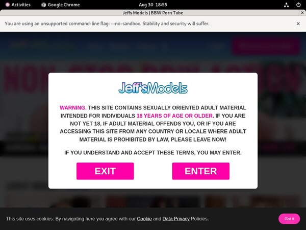 Jeff's Models Photo Gallery
