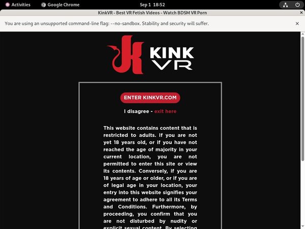Kinkvr Discount Linkcode