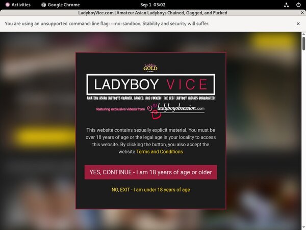 Ladyboy Vice ????