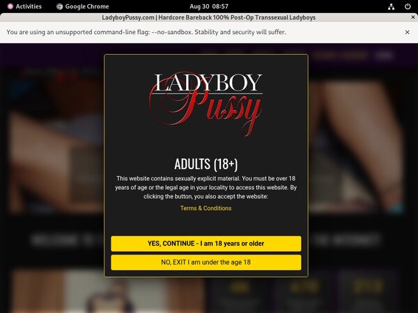 Ladyboypussy ??