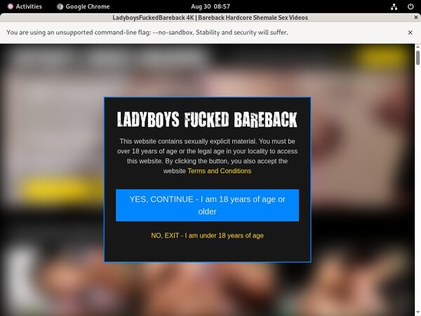 Ladyboys Fucked Bareback Free Try