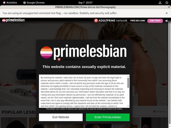 Lesbians Prime Xxx