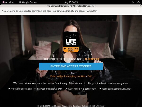 Life Selector Porn Discount
