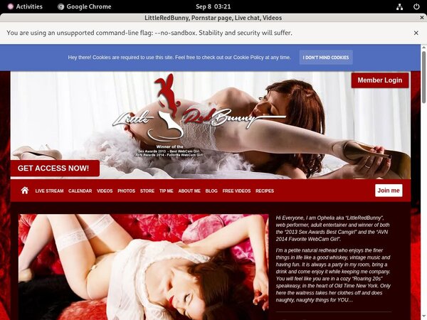 LittleRedBunny Account Passwords