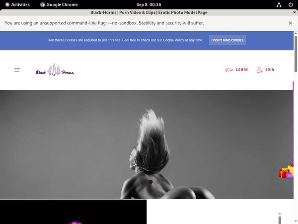 Logins For Black-hornis.net