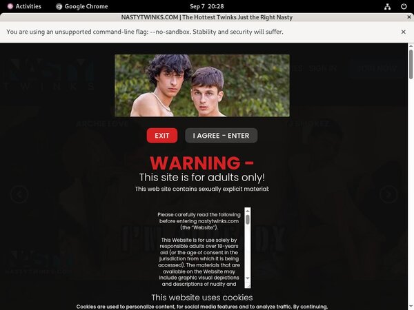 Nastytwinks Special Offer