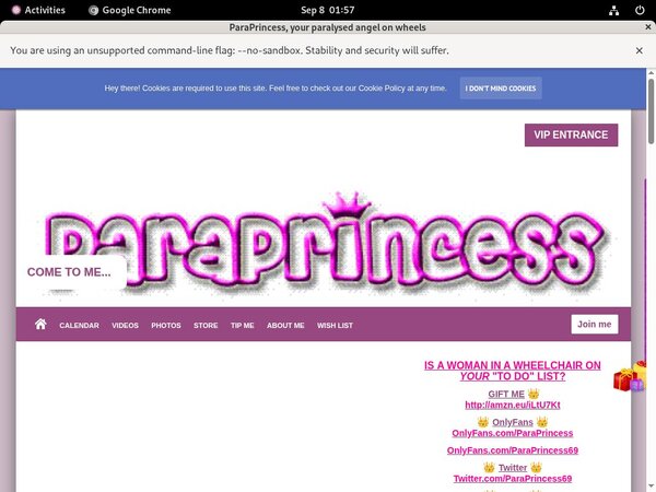 Paraprincess.com Working Pass