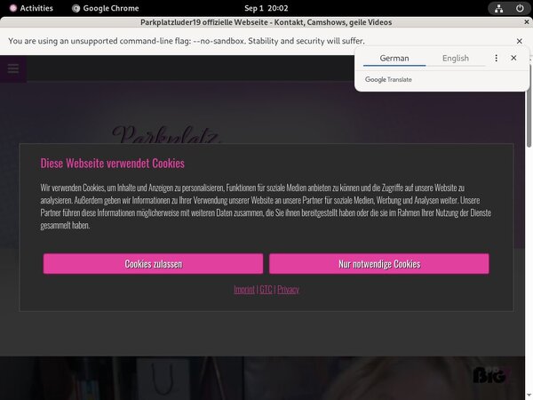 Parkplatzluder19 Porn Site