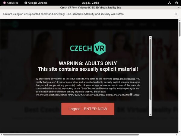 Password To Czech VR