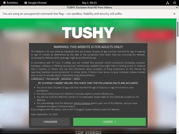 Pornhub Tushy.com
