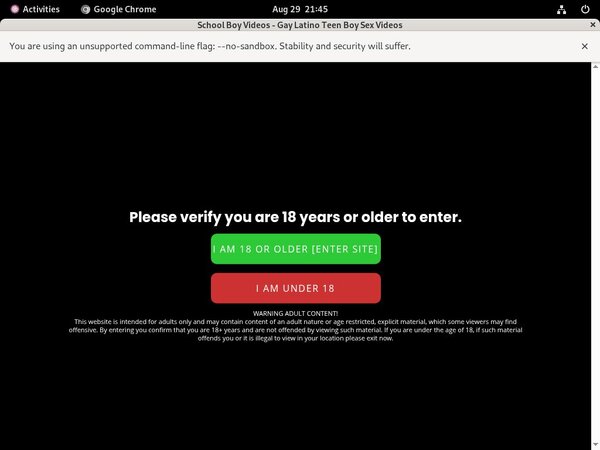 Premium School Boy Videos
