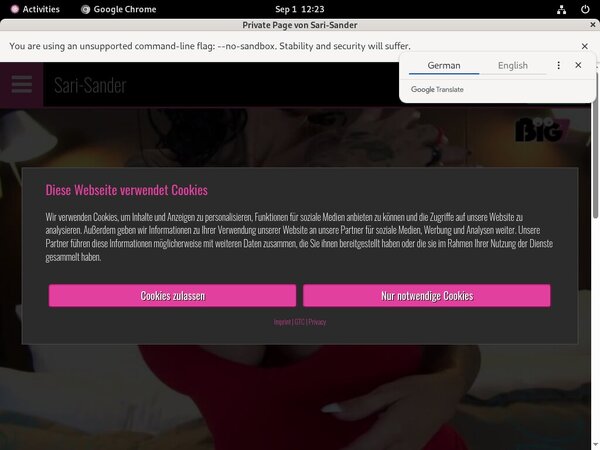 Sexy Sari Sander