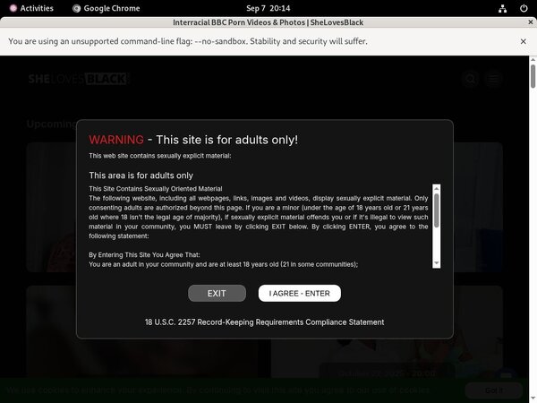 Shelovesblack.com Porn Passwords
