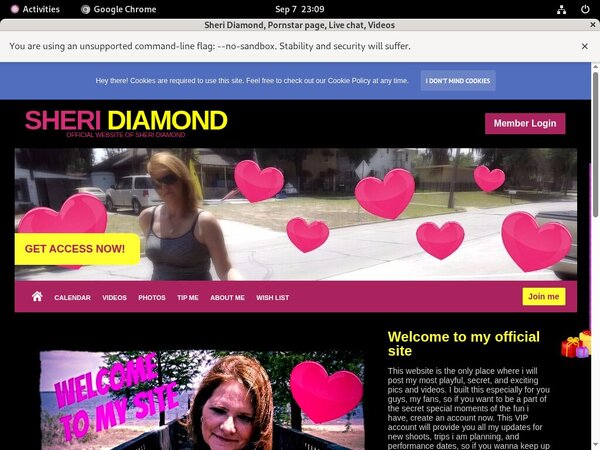 Sheri Diamond Free Tour