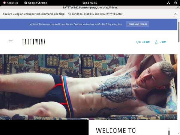 Tatttwink.com Passwords Accounts