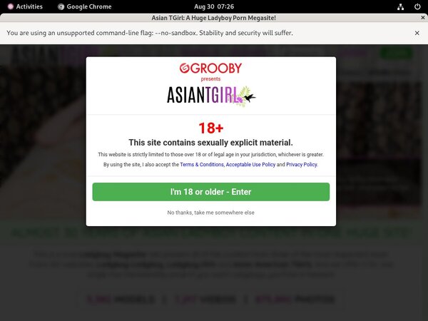 Try Ladyboyladyboy Free