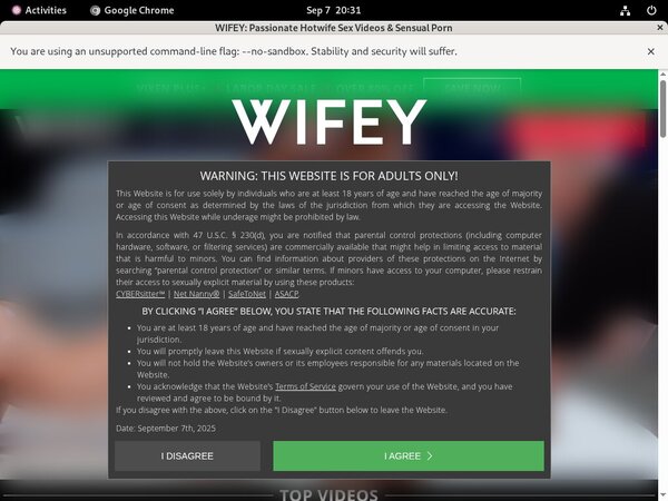 Wifey New Movies