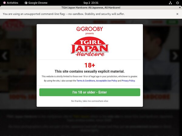 Tgirljapanhardcore.com Casting